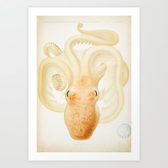 Peachy Keen Octopus Circa 1898 Art Print