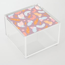 bird Acrylic Box