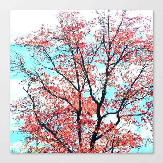 Here and Now Canvas Print