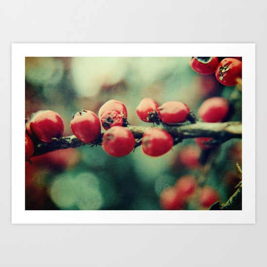 Red Winter Berries Art Print