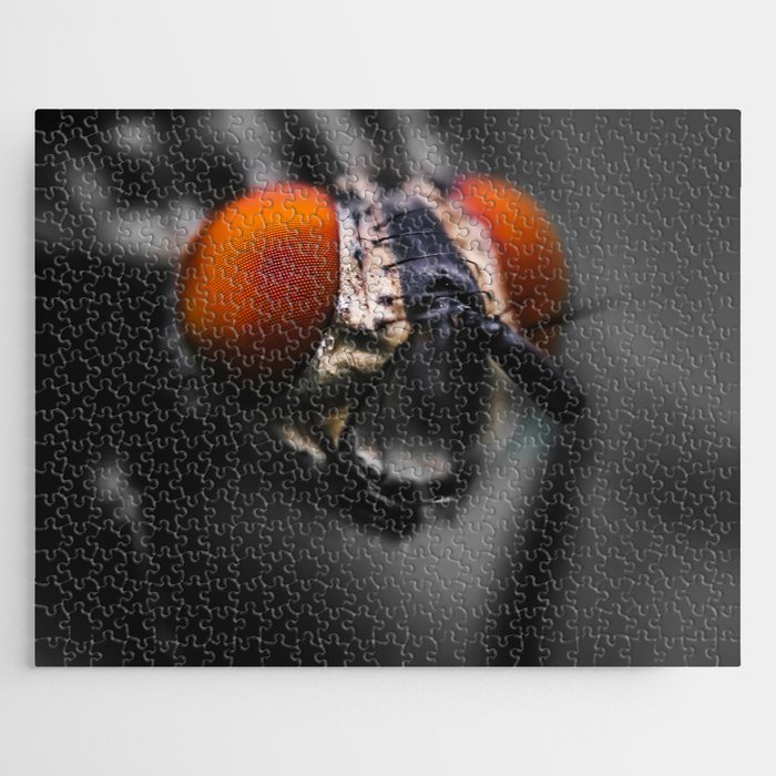 Portrait Of A Flesh Fly. Macro Black and White Photograph Jigsaw Puzzle