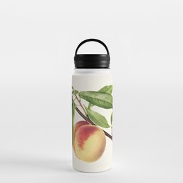 Peach Twig, Prunus Persica Water Bottle
