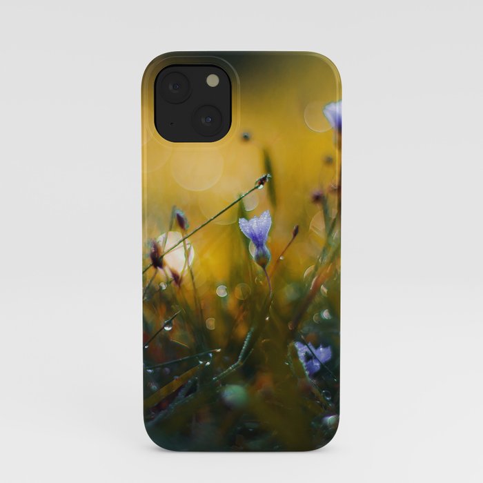 The Valley of Giants iPhone Case