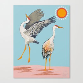 Beautiful White Sandhill Cranes Canvas Print