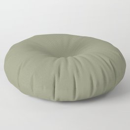 Plain Sage Green to Coordinate with Simply Design Color Palette Floor Pillow