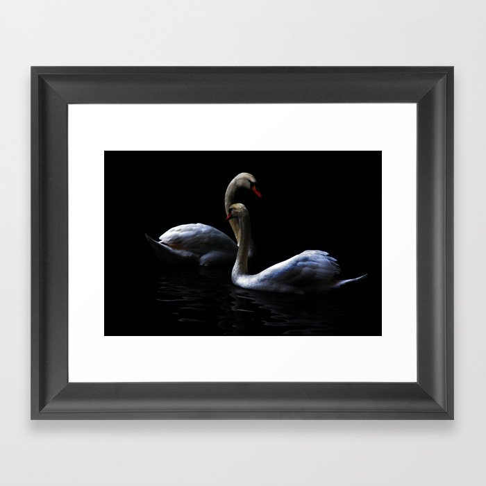 swans Framed Art Print