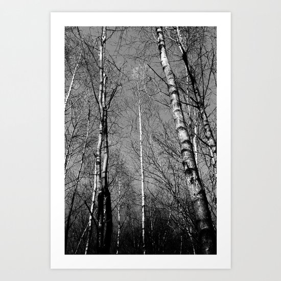 English Trees Art Print
