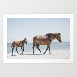 Horse Horse beach Art Print