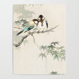 Ohara Koson, Birds Sitting On A Maple Tree Branch - Japanese Vintage Woodblock Print Poster