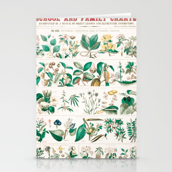 Digitally enhanced School and family charts, No. XXII. Botanical: economical uses of plants  Stationery Cards