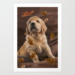 Golden Retriever Puppy Bernadette Art Print
