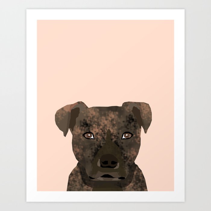 Brindle cheap coat pitbull