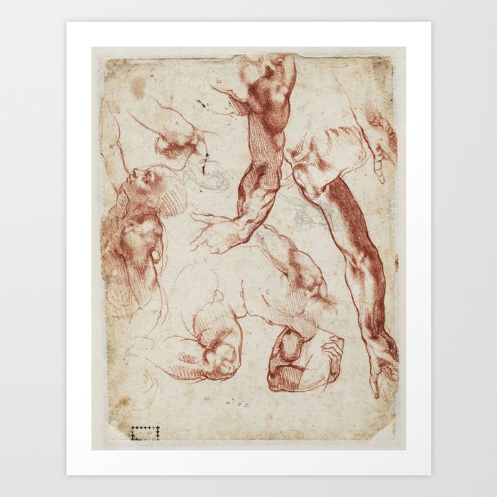 Leonardo Da Vinci anatomical studies Art Print