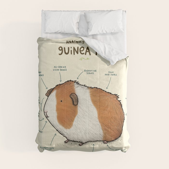 guinea pig comforter