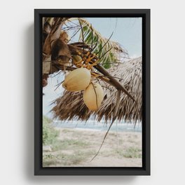 Coconut Palm Love Framed Canvas