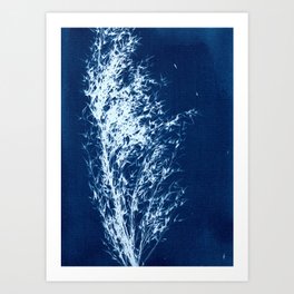 Botanicus_2020_8_botanical blue floral Cyanotype vintage style handmade print Art Print