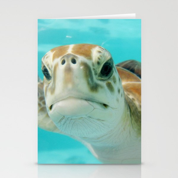 Mexico Photography - Sea Turtle In The Beautiful Water Stationery Cards