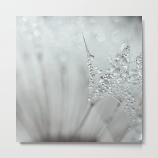 silver dreams Metal Print