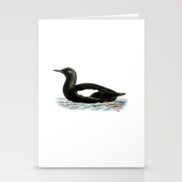Vintage Black Guillemot Bird Illustration Stationery Cards