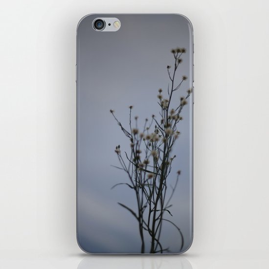 Autumn-Dandelion iPhone & iPod Skin
