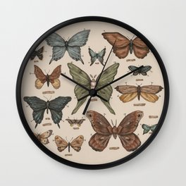 Butterflies and Moth Specimens Wall Clock