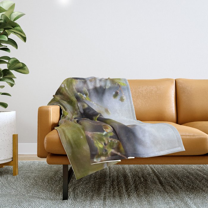 Spring mornings by Denise Dietrich Throw Blanket