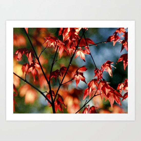 flora in flame Art Print