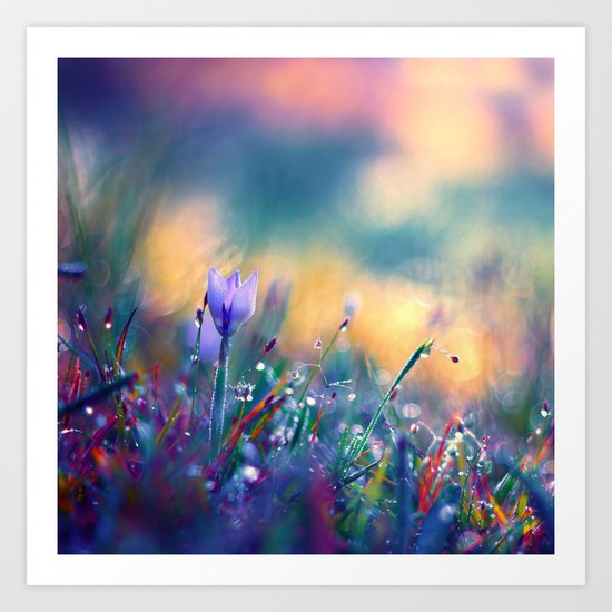 Begin of a Story Art Print