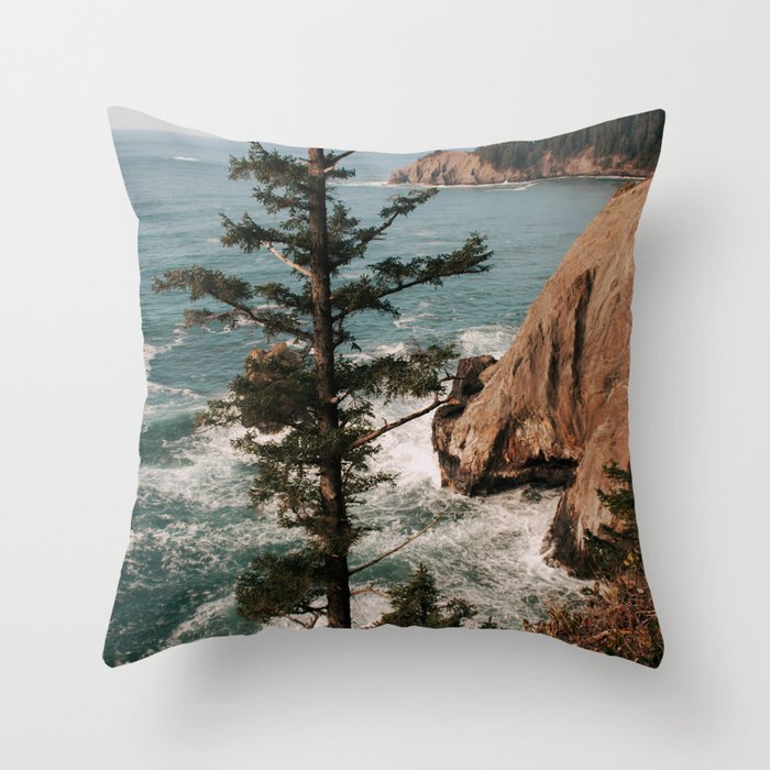 Throw Pillow