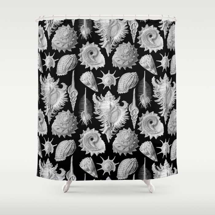 Black And White Beach Shells Shower Curtain By Fineearthprints