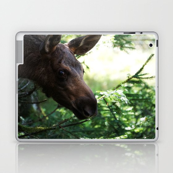 Elk Photo Print Laptop & iPad Skin