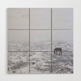 Wild horses at the mountains. Into the snowstorm. Sierra Nevada National park Wood Wall Art