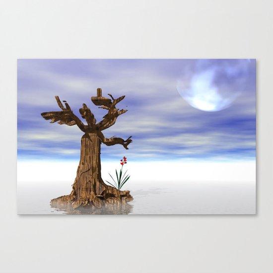 lost Canvas Print