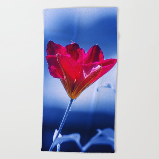 Natural Dominance Beach Towel