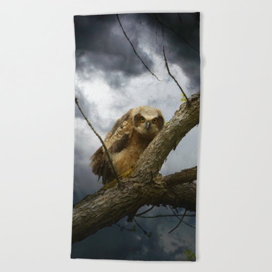 The seer of souls Beach Towel