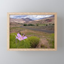 Mariposa Lily standing tall over John Day Fossil Beds Framed Mini Art Print