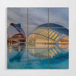 Spain Photography - Príncipe Felipe Science Museum Under The Gray Sky Wood Wall Art