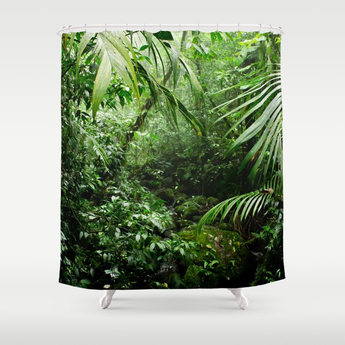 Misty Rainforest Creek Shower Curtain
