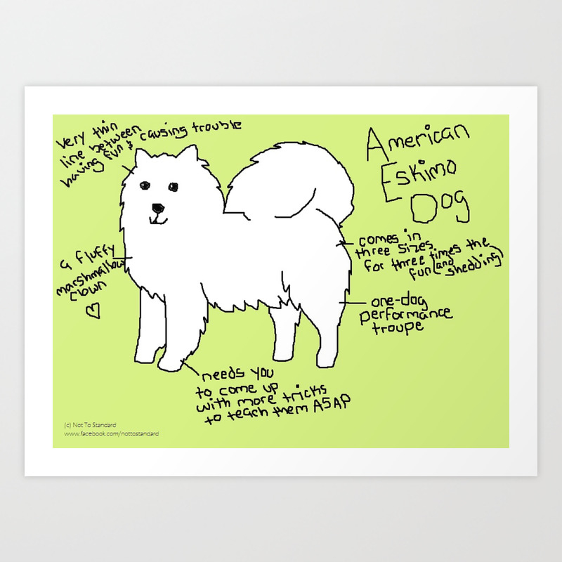 American Eskimo Dog Art Print By Nottostandard Society6