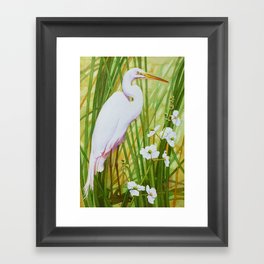 Snowy Egret Framed Art Print