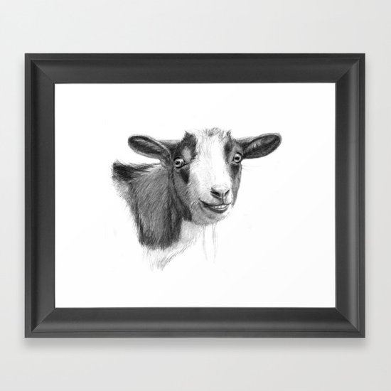 Curious goat sk098 Framed Art Print