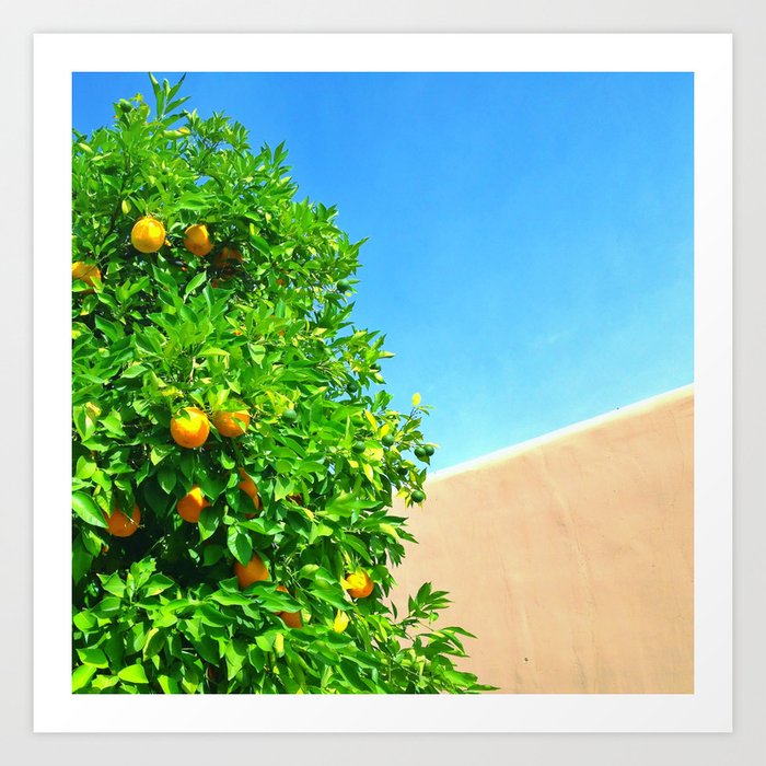 Arizona Oranges and Blue Sky Art Print