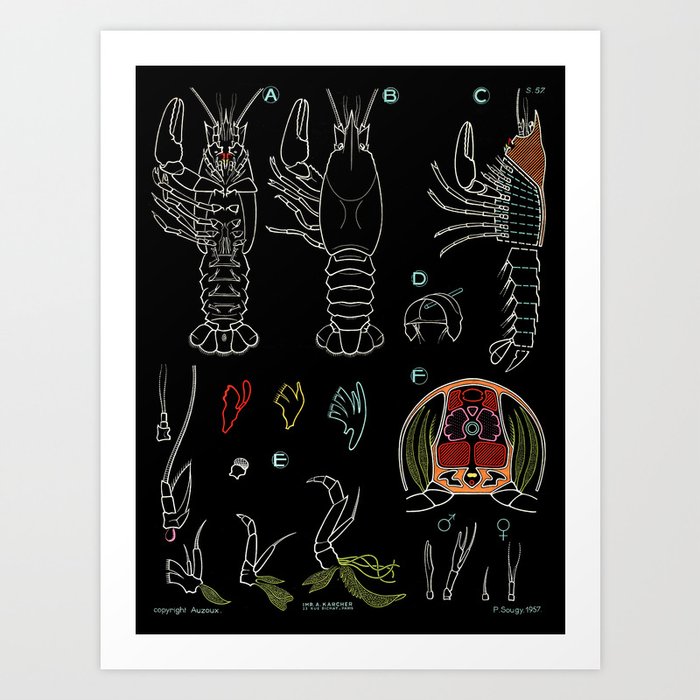 Paul Sougy: The Crayfish, 1957 (proceeds benefit The Nature Conservancy) Art Print