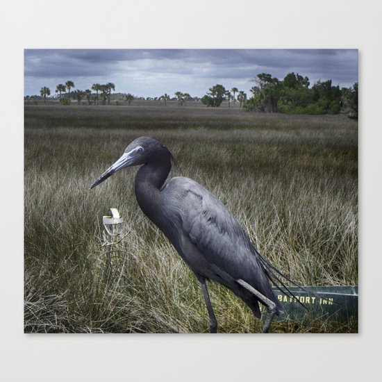 Little Blue Portrait Canvas Print