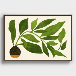 The Wanderer - House Plant Illustration Framed Canvas