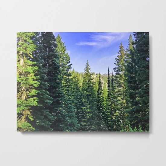 Tony Grove Utah Metal Print