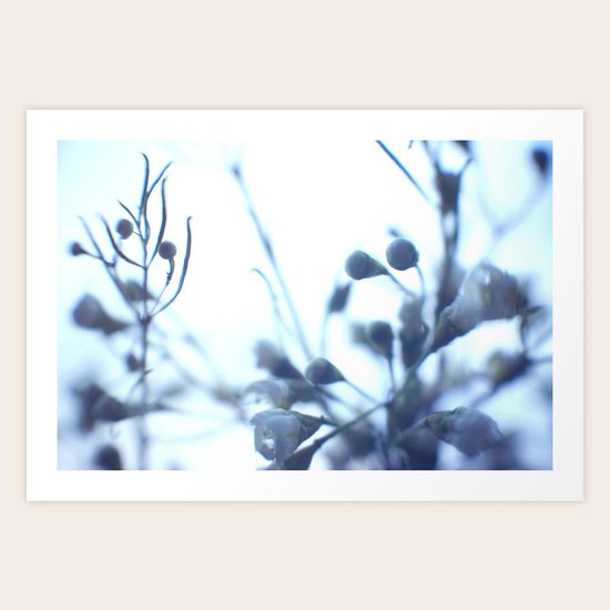 Wisps Art Print