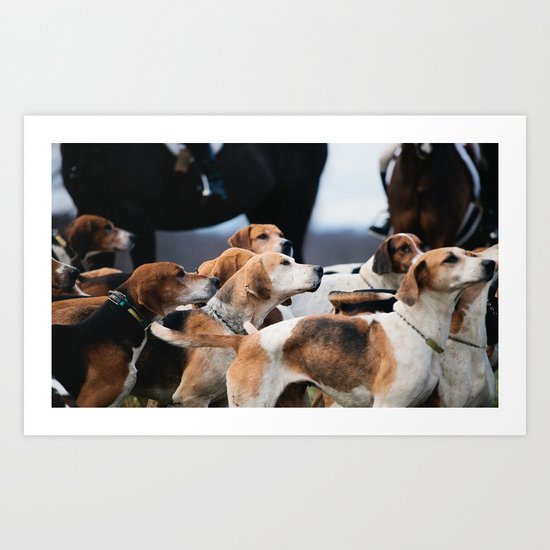 Foxhounds Art Print