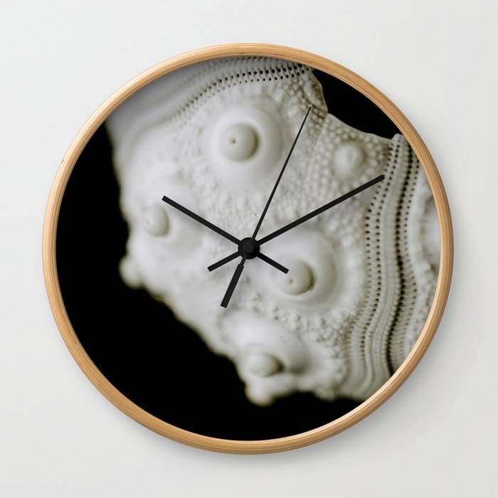 Sea Urchin Wall Clock