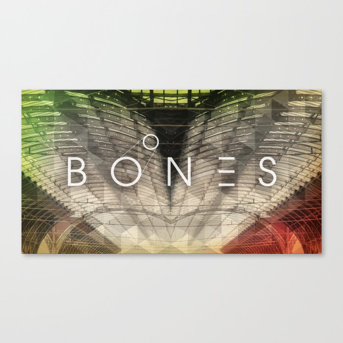 Bones Canvas Print